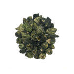 Dolmalık Acur Kurusu