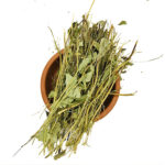 Testere Dişli Aslan Pençesi